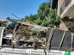 Best Attic Cleanout  in Richmond, TX